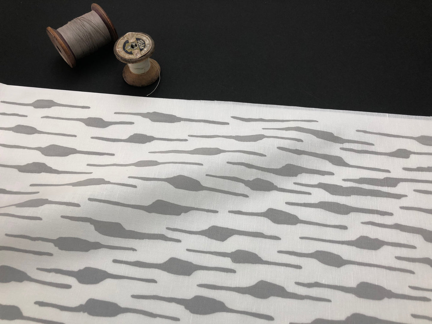 Cloud Birch