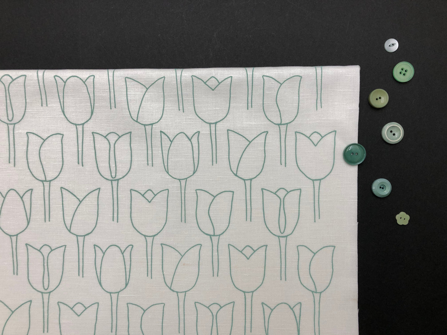 Sage Tulips