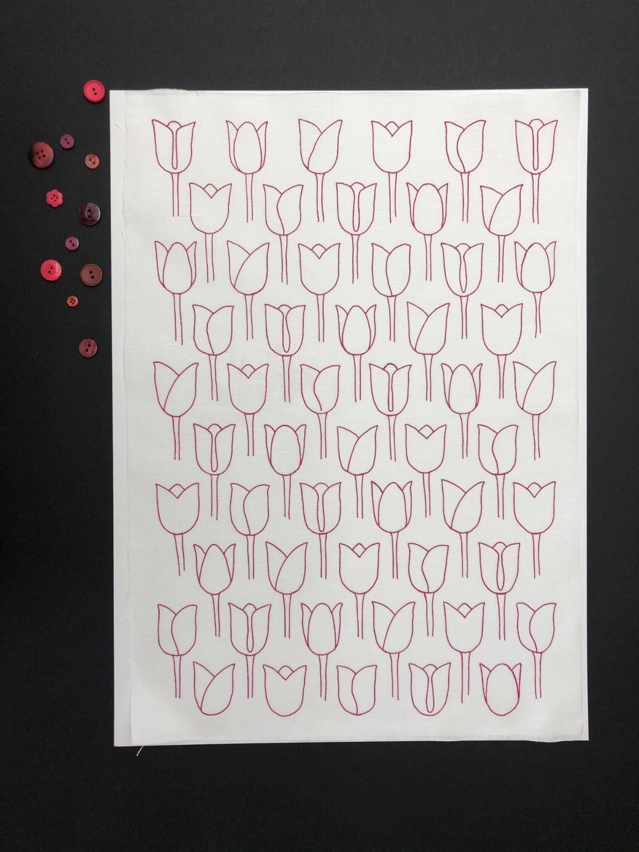 Blush Tulips